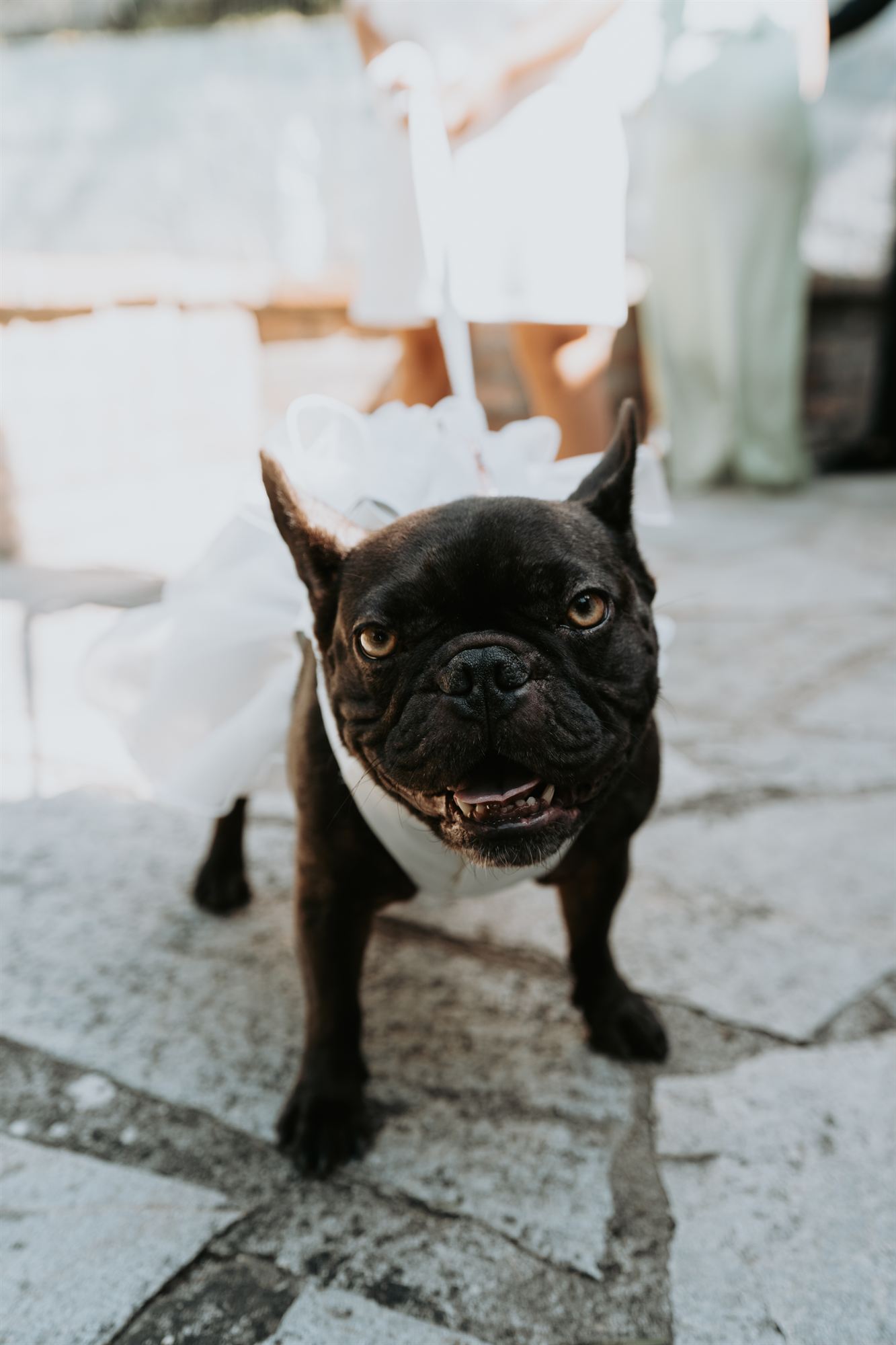 Matrimonio di Simone e Giada ad Alessandria, Cascina Battignana Agriturismo, reportage di Yuri Cannas, foto 21